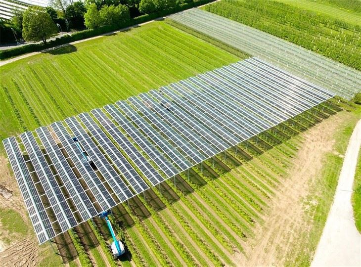 Leading Agri-PV Mounting Technology Providers | Global Options price